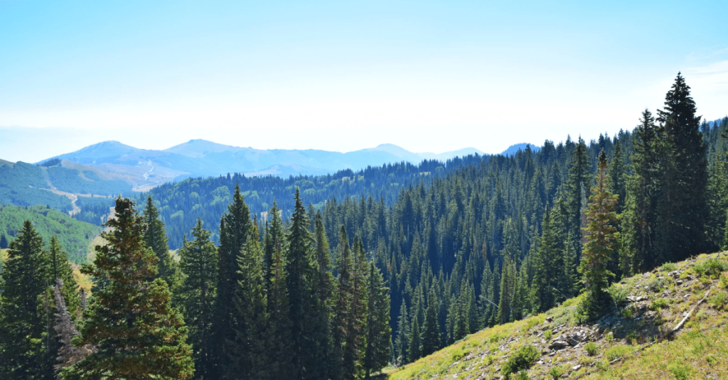 best places to visit in himachal pradesh